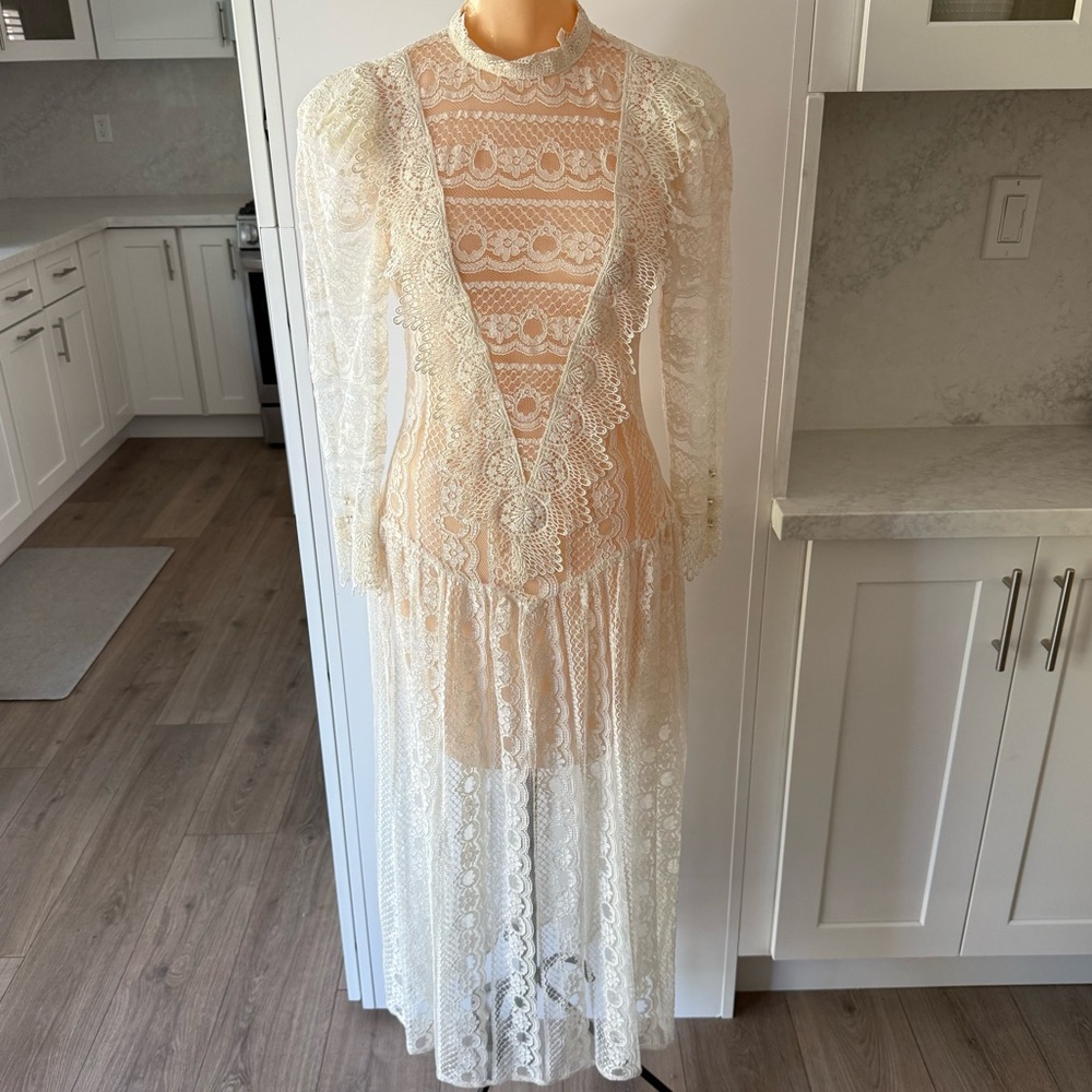 Elegant Lace Sheer Dress